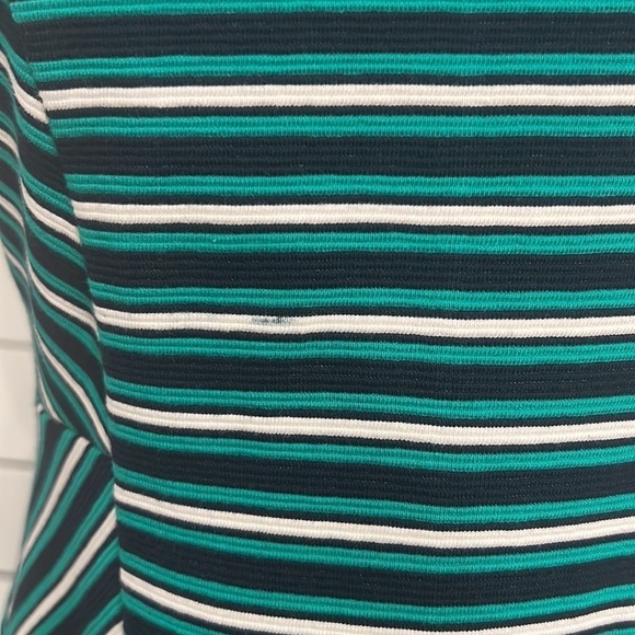 Talbots FIT & FLARE DRESS-STRIPE Petite Small - Picture 4 of 8